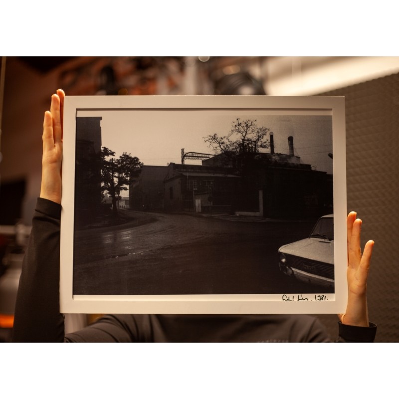 Szabó János: Növényi olajgyár