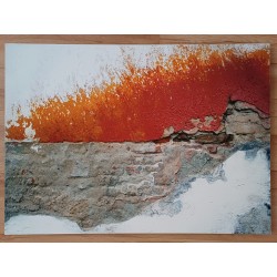 Chochol Etelka: Tűzfal